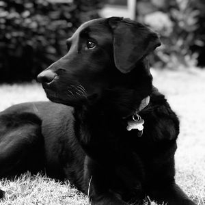 Meet your Posher, Savannah